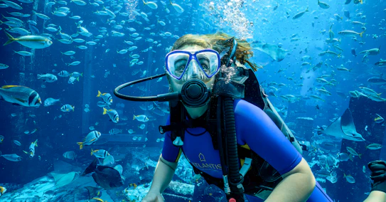 The Lost Chambers Aquarium