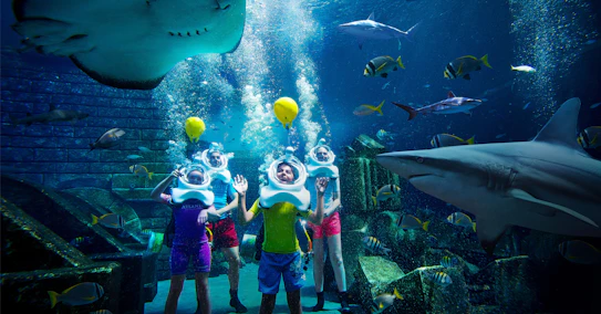 The Lost Chambers Aquarium